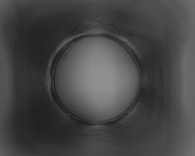 X0000100901414200806241021
