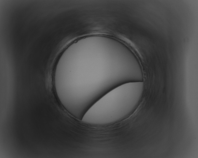 X0000100901415200806241021