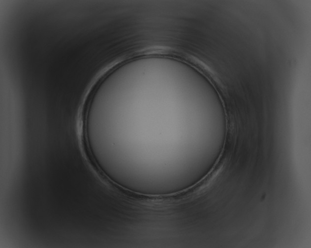 X0000100901418200806241021
