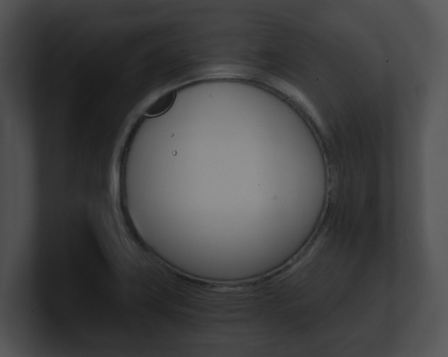 X0000100901419200806241021