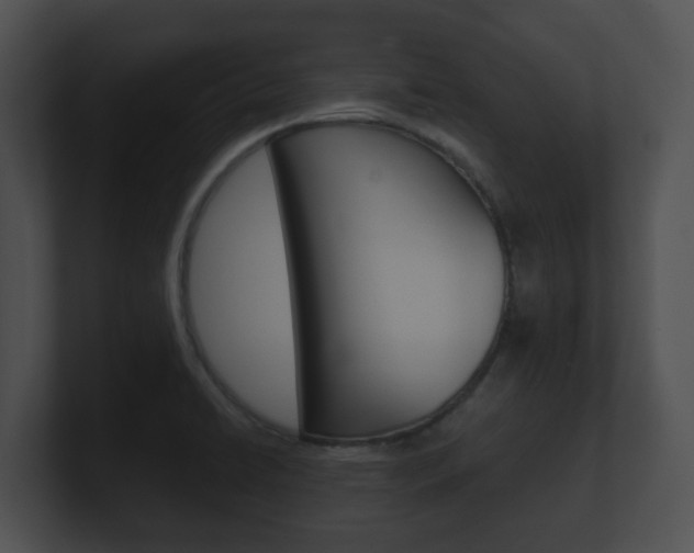 X0000100901422200806241021