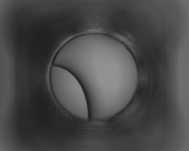 X0000100901423200806241021