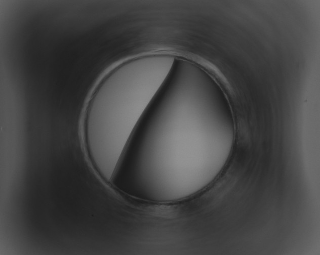X0000100901424200806241021