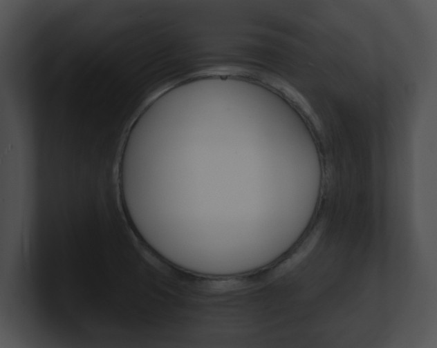 X0000100901425200806241021