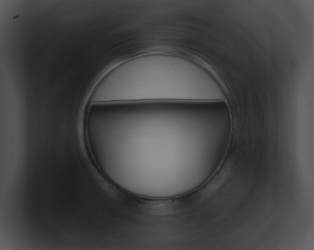 X0000100901426200806241021