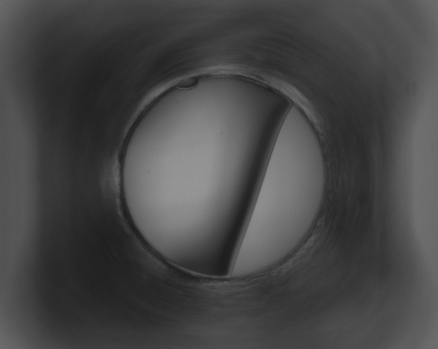 X0000100901428200806241021