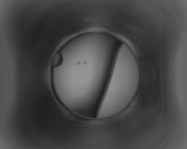 X0000100901430200806241021