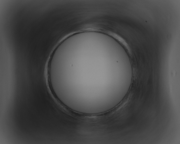 X0000100901431200806241021