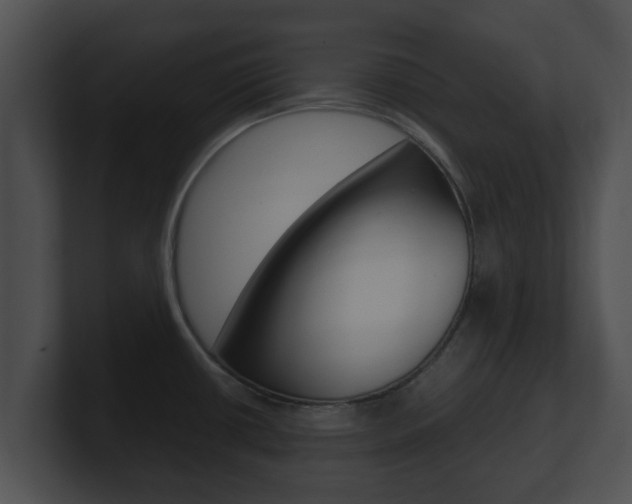 X0000100901434200806241021