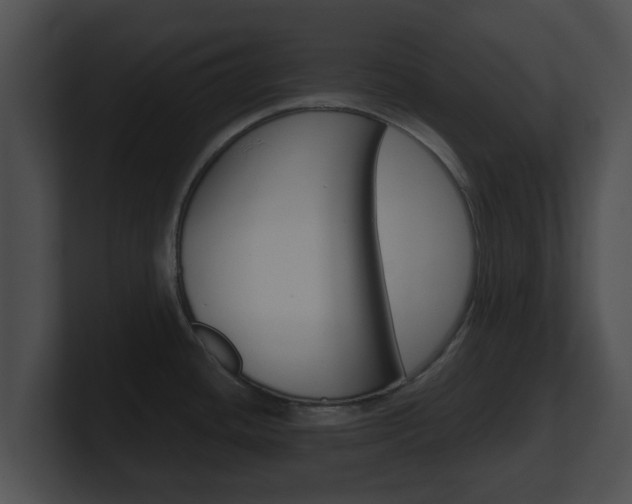 X0000100901436200806241021