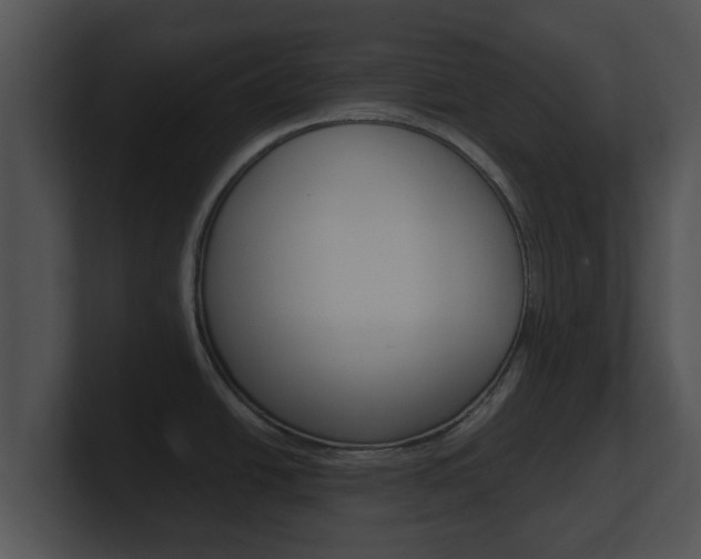 X0000100901438200806241021