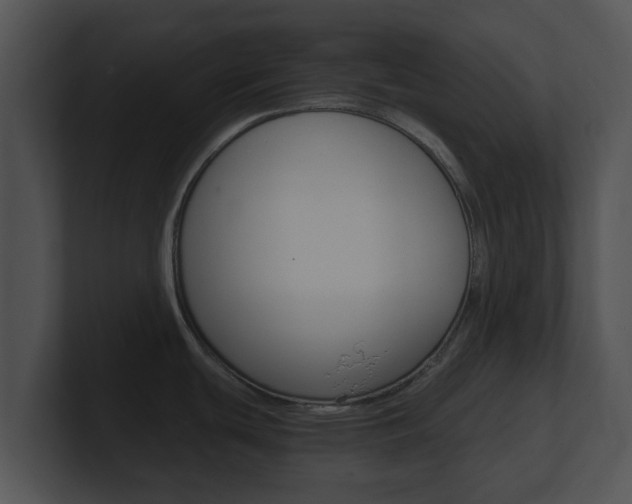 X0000100901439200806241021