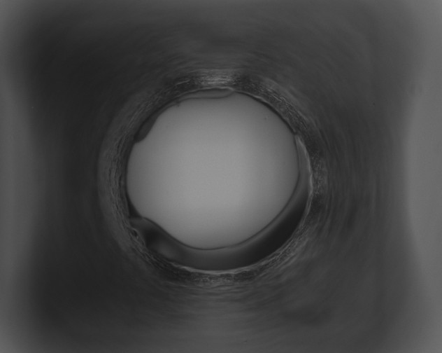 X0000100901441200806241020