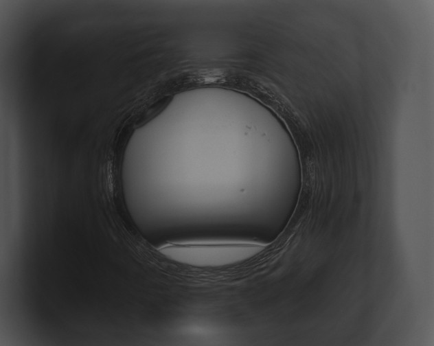X0000100901442200806241020