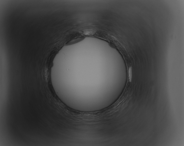 X0000100901443200806241020