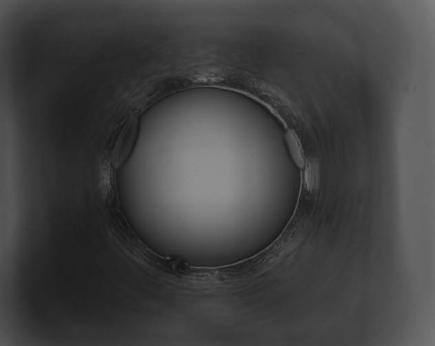 X0000100901444200806241020