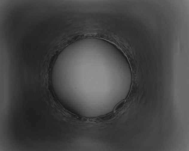 X0000100901445200806241020