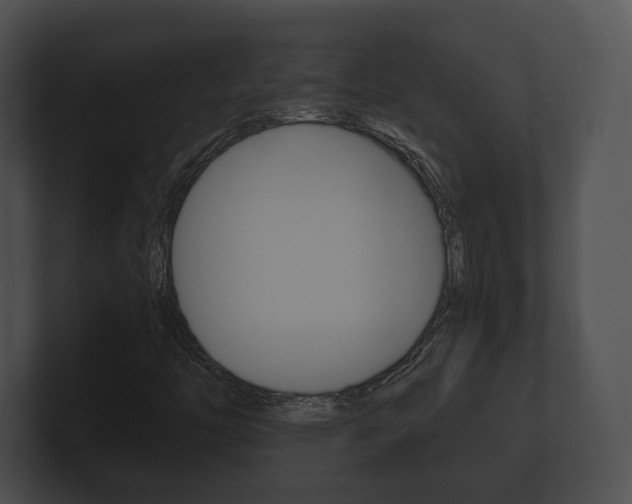 X0000100901446200806241020