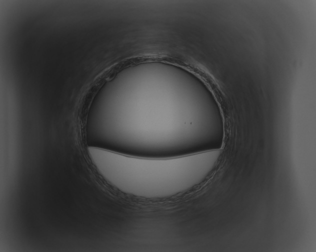 X0000100901448200806241020