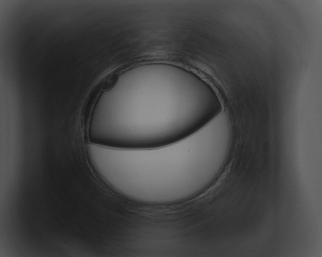 X0000100901450200806241020