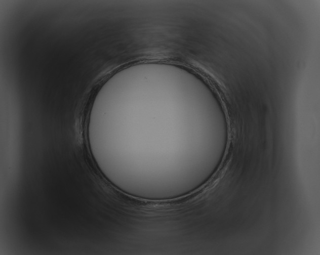 X0000100901451200806241020