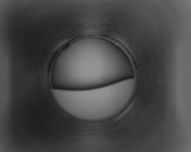 X0000100901453200806241020