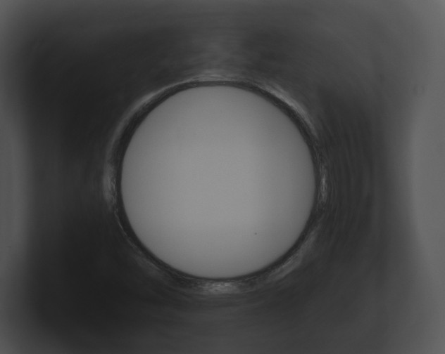 X0000100901454200806241020