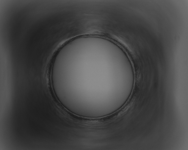 X0000100901455200806241020