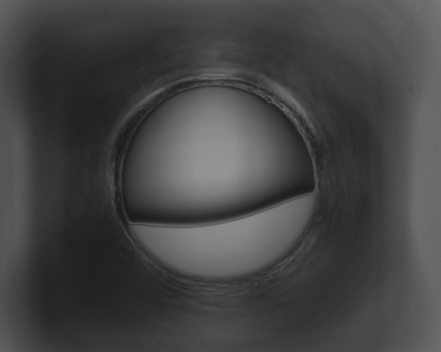 X0000100901456200806241020