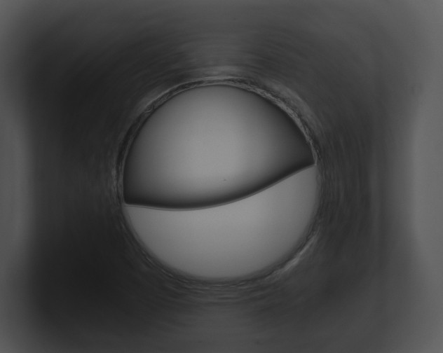 X0000100901457200806241020