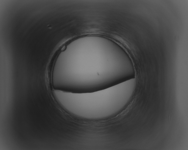 X0000100901458200806241020