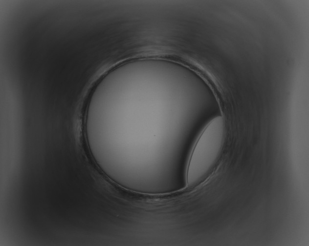 X0000100901459200806241020