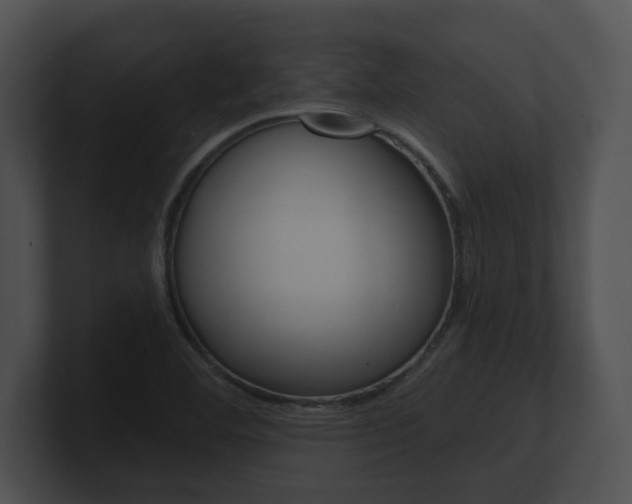X0000100901460200806241020