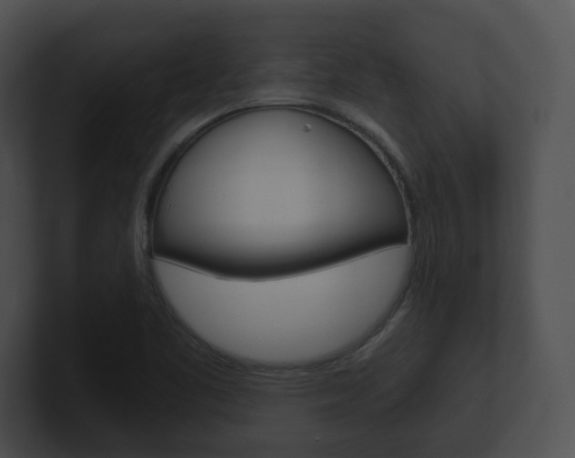 X0000100901461200806241020
