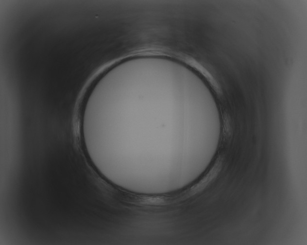 X0000100901462200806241020
