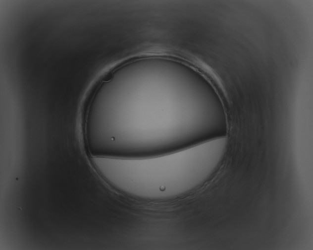 X0000100901464200806241020