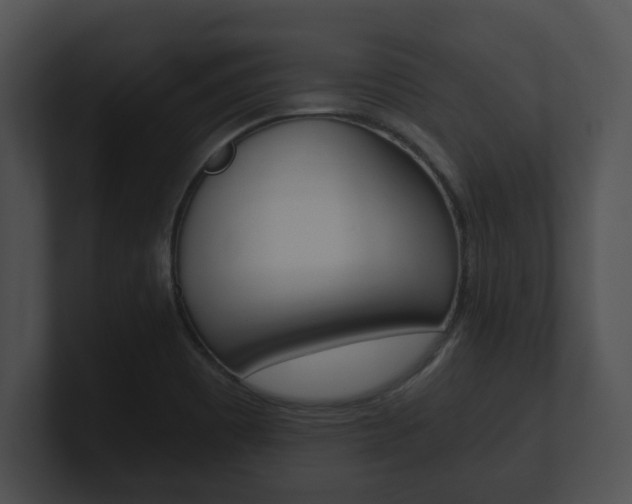 X0000100901465200806241020