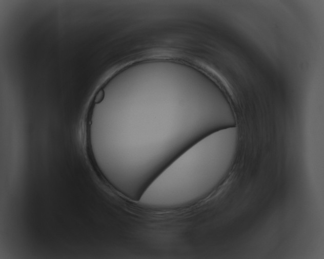 X0000100901467200806241020