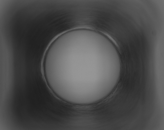 X0000100901468200806241020