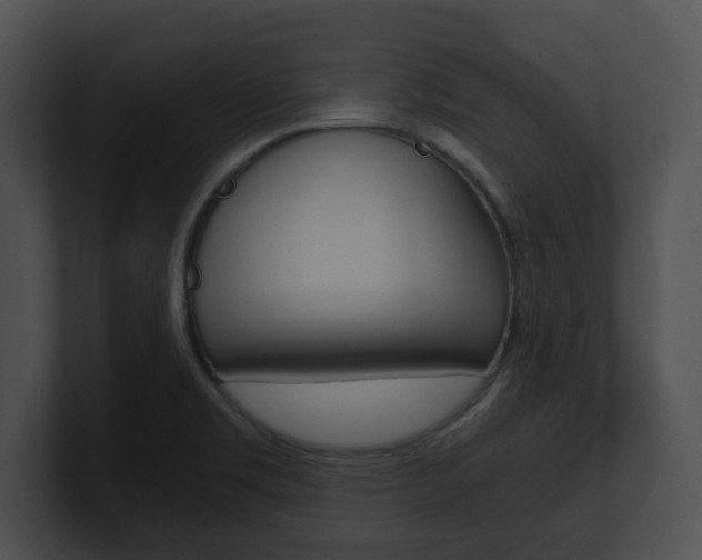 X0000100901469200806241020