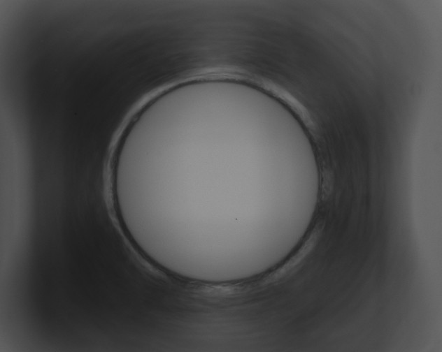 X0000100901470200806241020