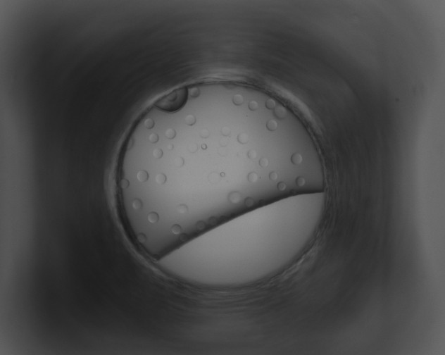 X0000100901471200806241020