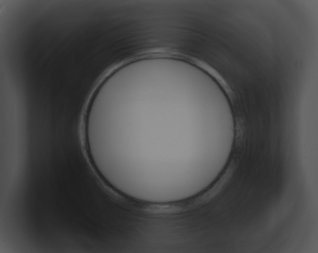 X0000100901474200806241020