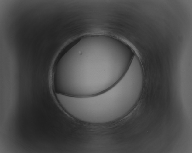 X0000100901477200806241020