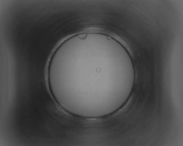 X0000100901478200806241020