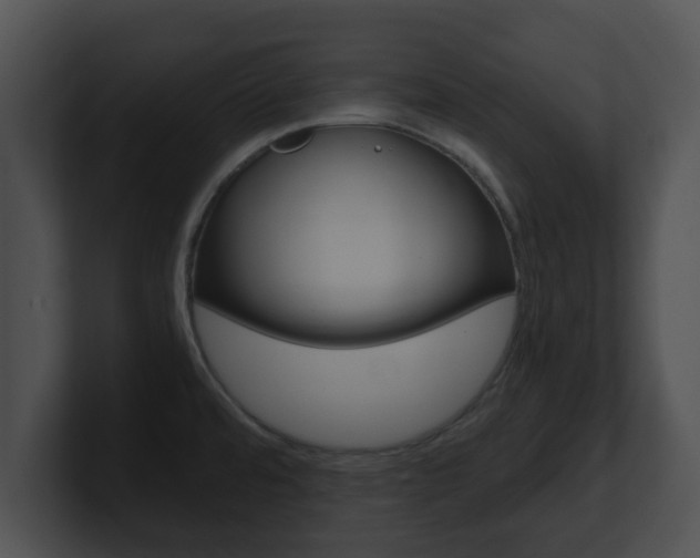 X0000100901480200806241020