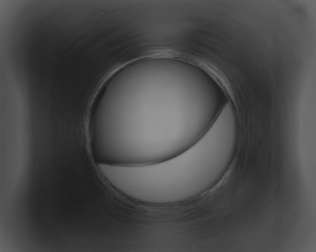 X0000100901481200806241020