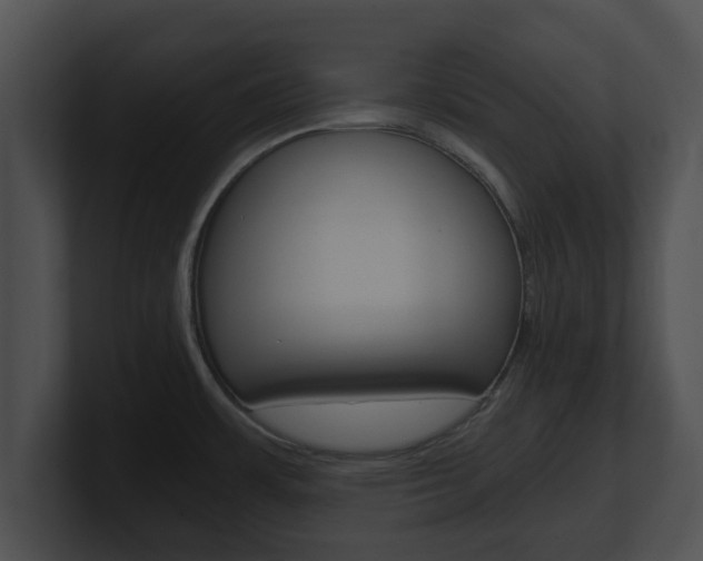 X0000100901483200806241020