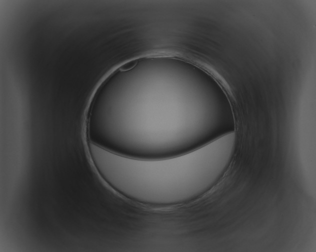 X0000100901484200806241020