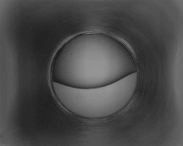 X0000100901485200806241020